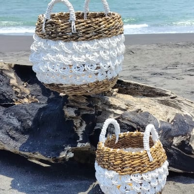 Dalila Basket with Handle Set of Two