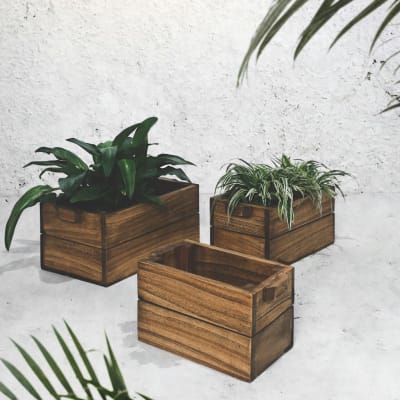 Botanic Square Pot Set of 3