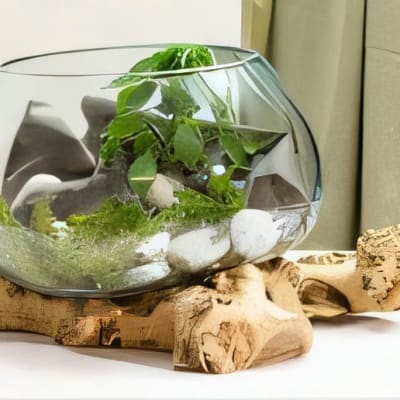 Water Drop Fish Bowl