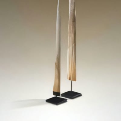 Stingray Tail Set of 2