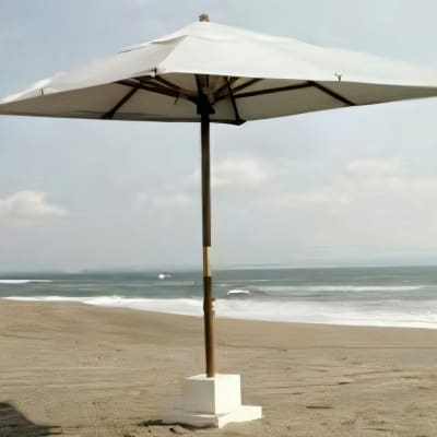 Umbrella Iv without Base