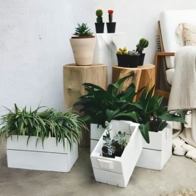 Botanic Square Pot Set of 3