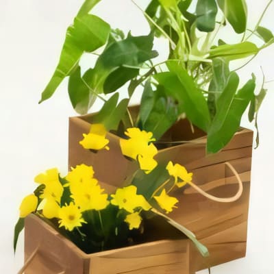 Maui Planters Set of 2