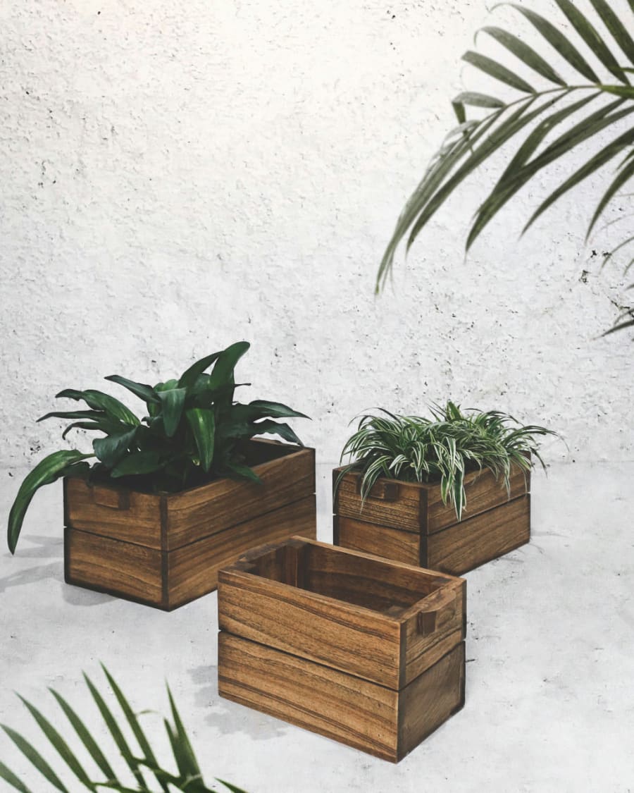 Botanic Square Pot Set of 3