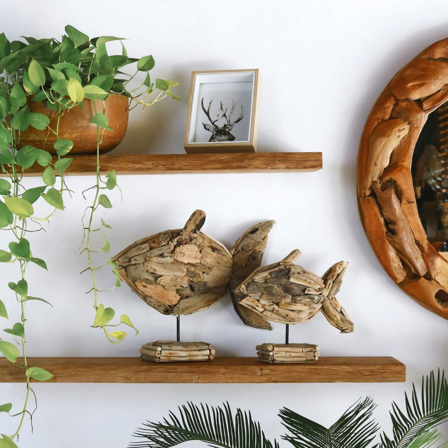 Curly Fish on Woodstand - Medium