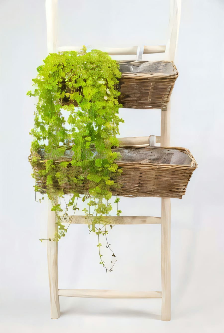 Verona Balcony Planter with Hanger with Plastic Liner