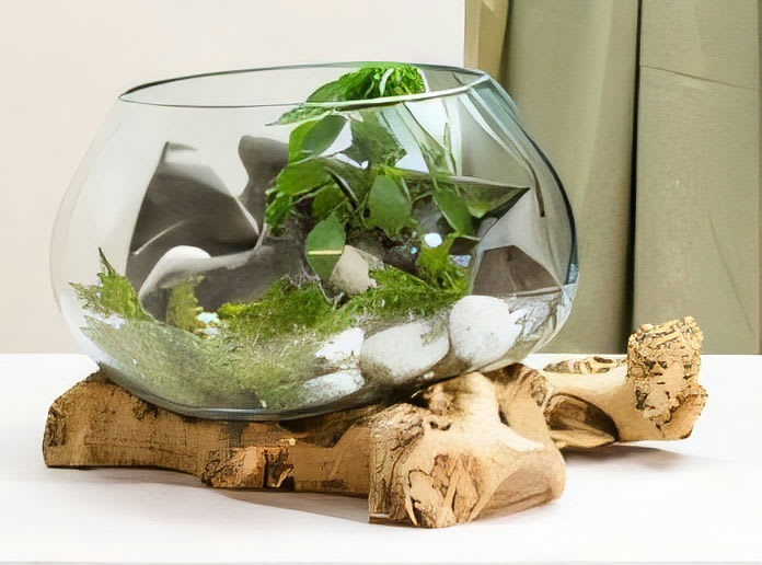 Water Drop Fish Bowl