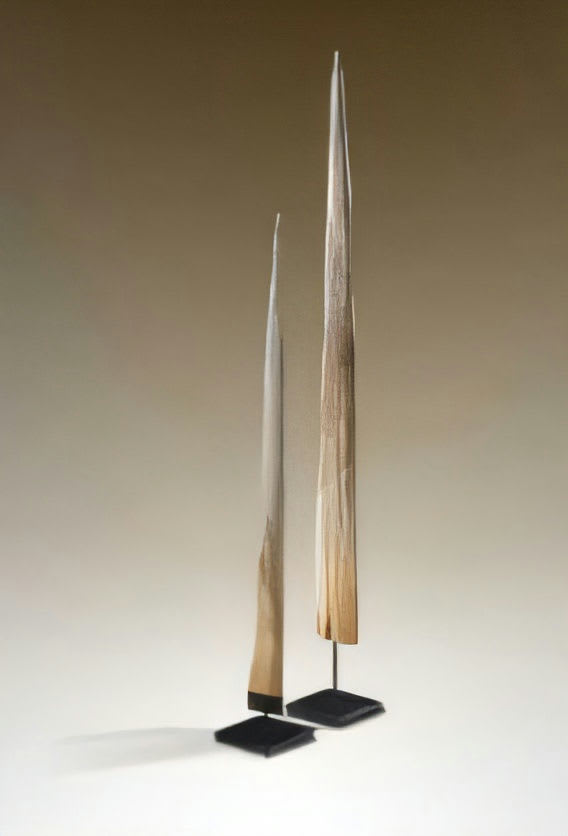 Stingray Tail Set of 2
