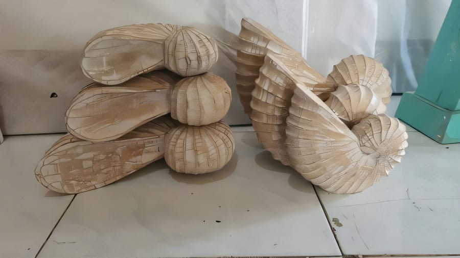 Shell Up Deco