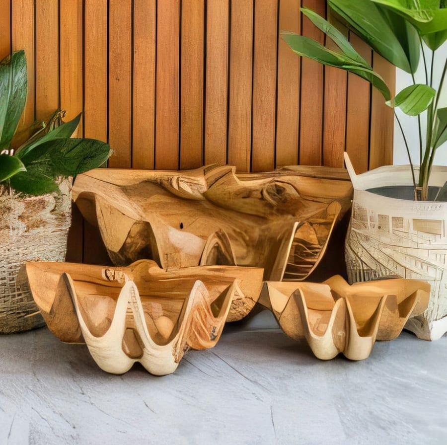 Suar Shell Deco Set of 3