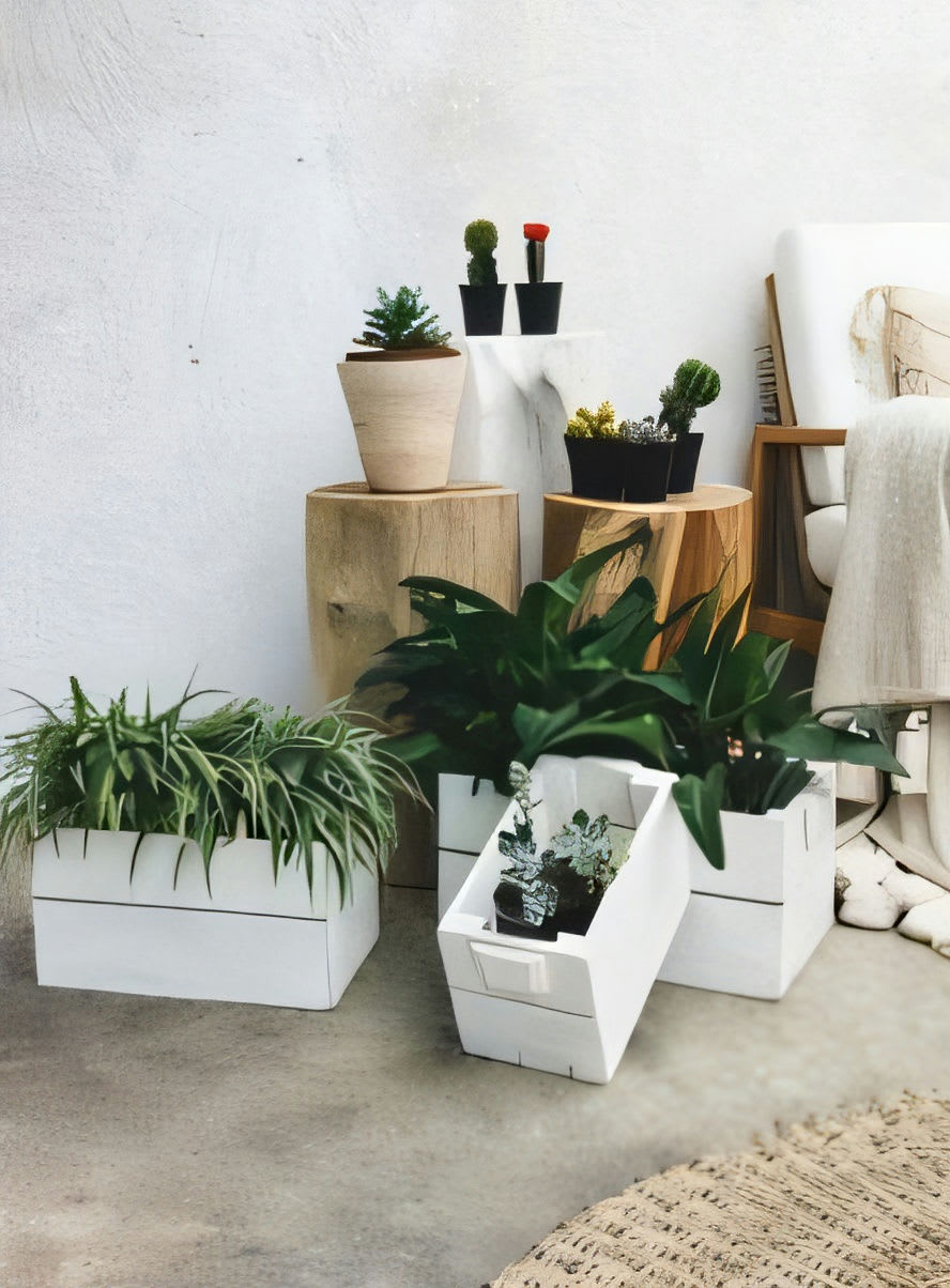 Botanic Square Pot Set of 3
