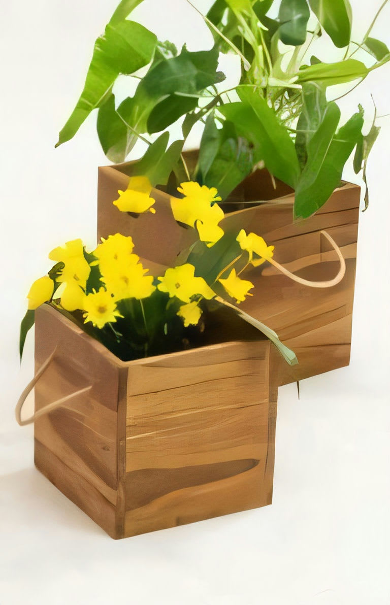 Maui Planters Set of 2