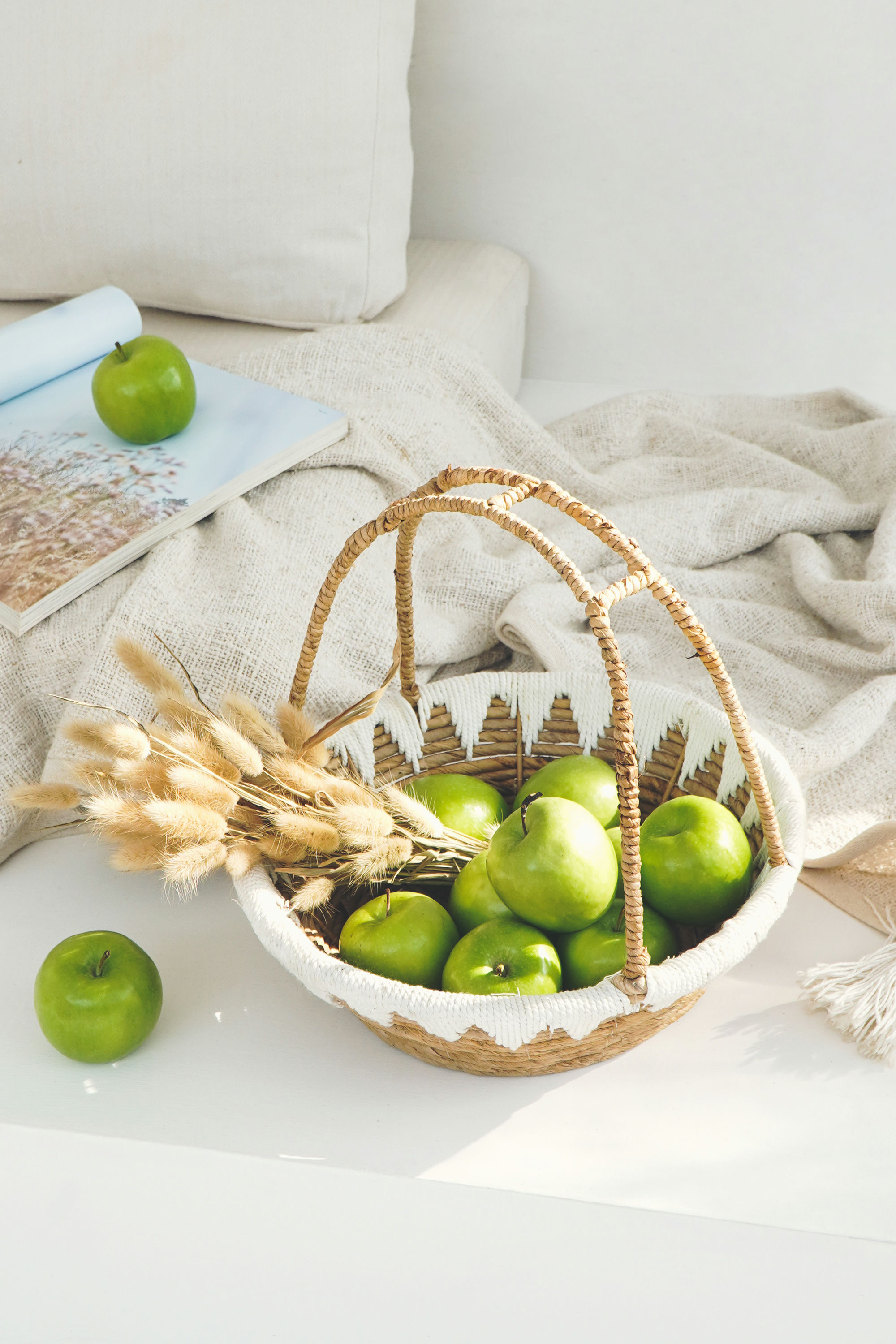 WINNY ROUND BASKET WITH HANDLE